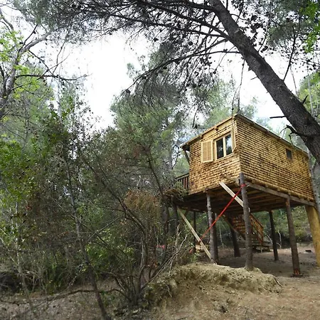 Baumhaus 2 - 5 Personen Holiday home *